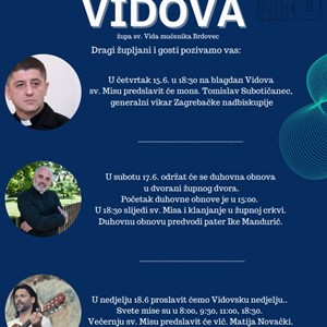 Proslava Vidova u Brdovcu
